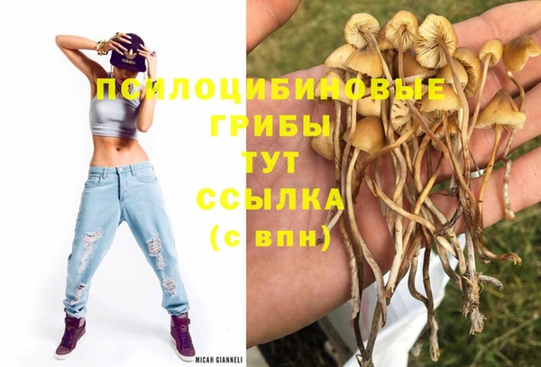 мескалин Алзамай