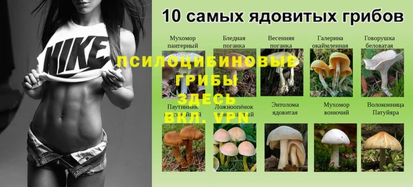 мескалин Алзамай