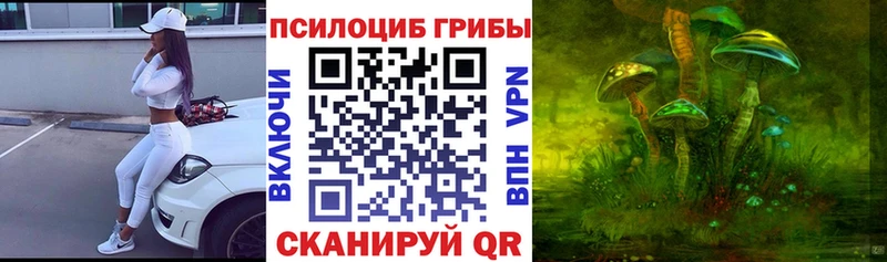 Галлюциногенные грибы мицелий  Волхов 